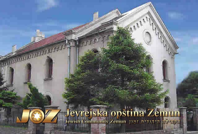 Sinagoga Zemun